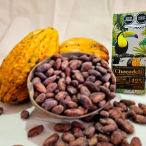 CHOCOLATE CON LECHE 42% CACAO 20g